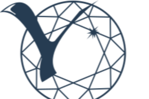 Ежегодная конференция членов АСВУОО "Повышение мастерства...