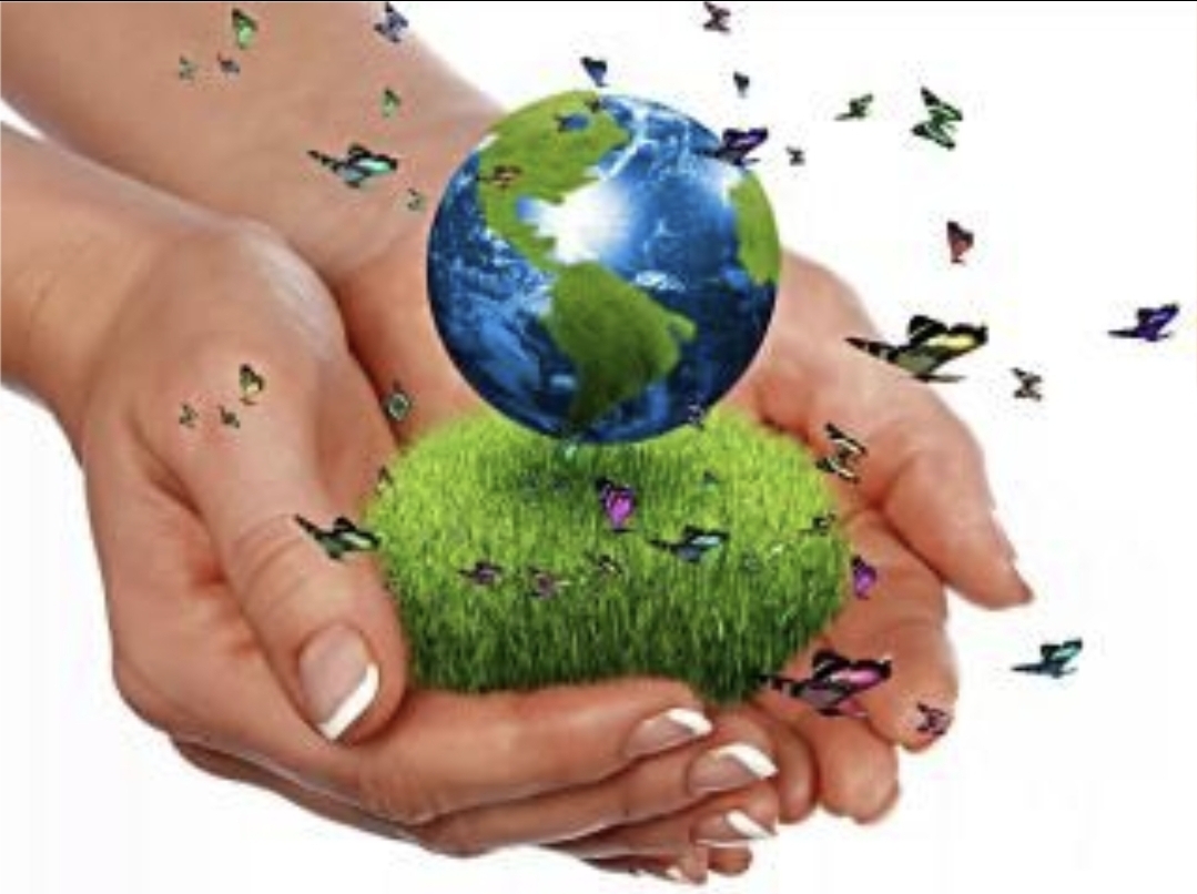 СОЗДАЕМ МИР ВОКРУГ СЕБЯ