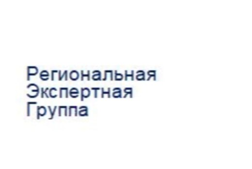 Заседание Молодежного экспертного сектора РЭГ НСИ АСИ