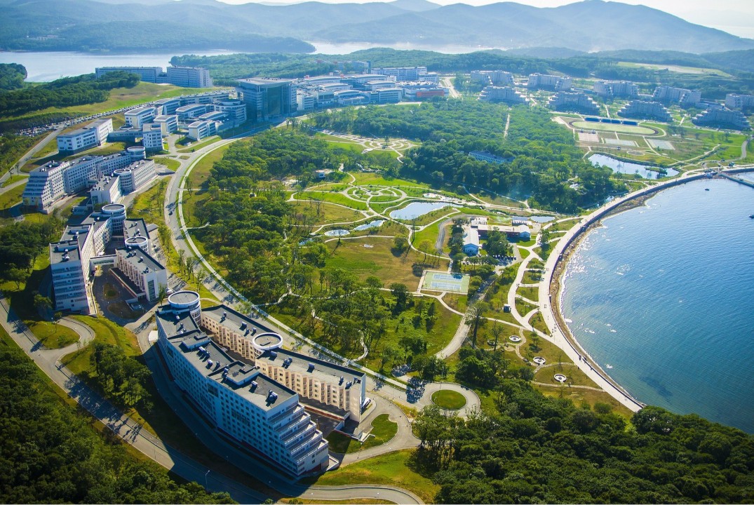 Обучение закупочным процессам СПМП