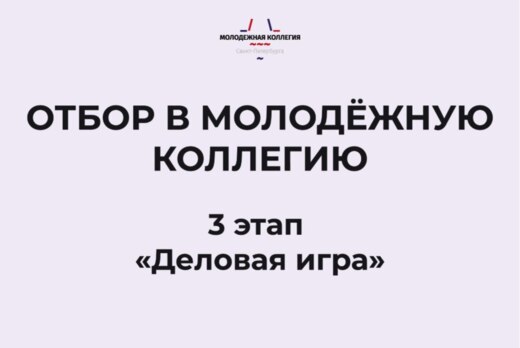 Молодёжная коллегия - Деловая игра