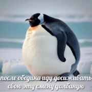 Александрович Руслан