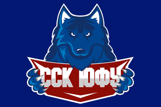 Собрание студенческого спортивного клуба ЮФУ