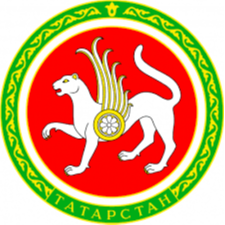 Министерство здравоохранения Республики Татарстан