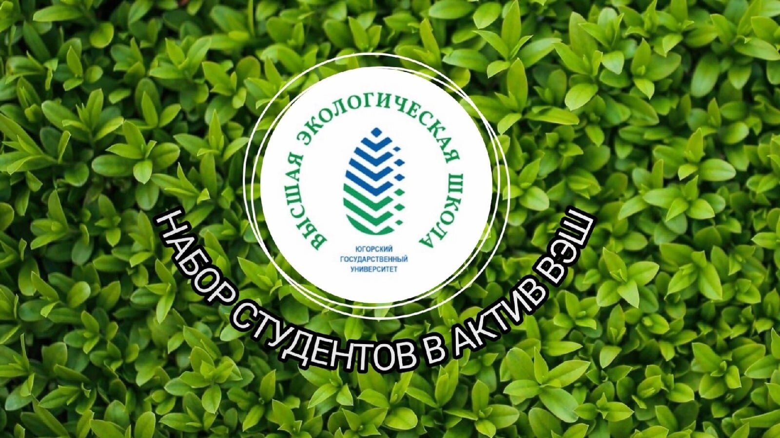 Школа Превосходного актива высшей Экологической школы