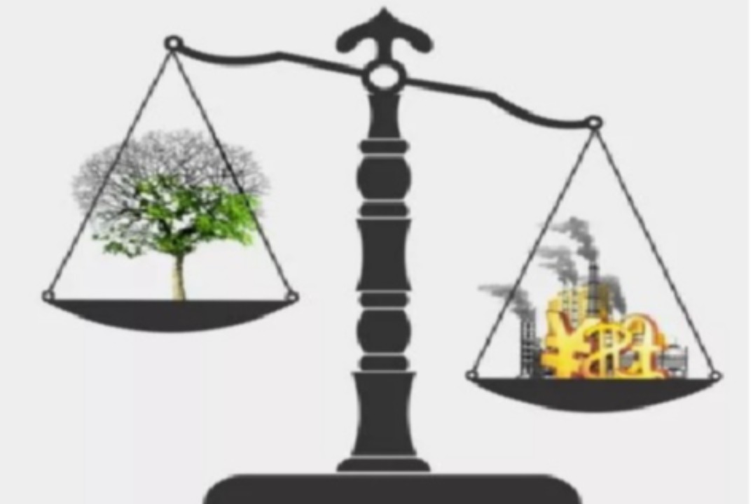 Круглый стол «Правовые инструменты сохранения биоразнообр...