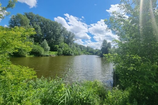 Воркшоп по соучаствующему проектированию общественного пр...