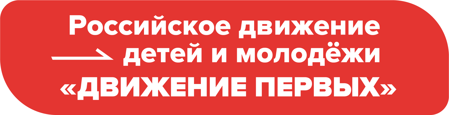 РООО ДДМ «Движение Первых» Пермского края