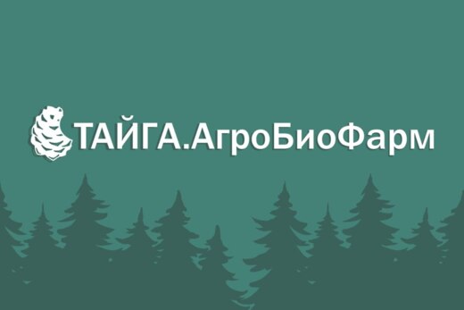 Акселерационная программа "Тайга.АгроБиоФармТехнологии"....