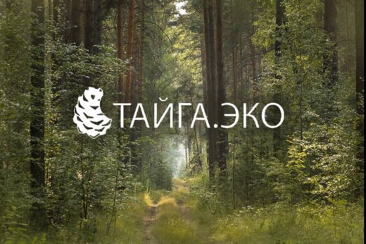 Акселерационная программа "Тайга.Эко". Инновационная экос...