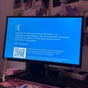 Жаркова Екатерина