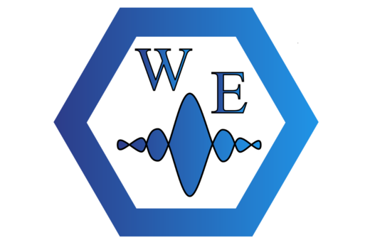 XXIX Международная научная конференция "Волновая электрон...