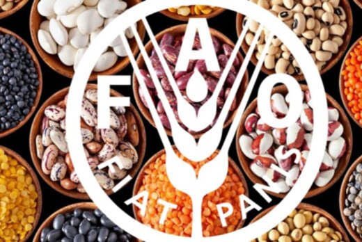 Рука об руку с ФАО для обеспечения продовольственной безо...