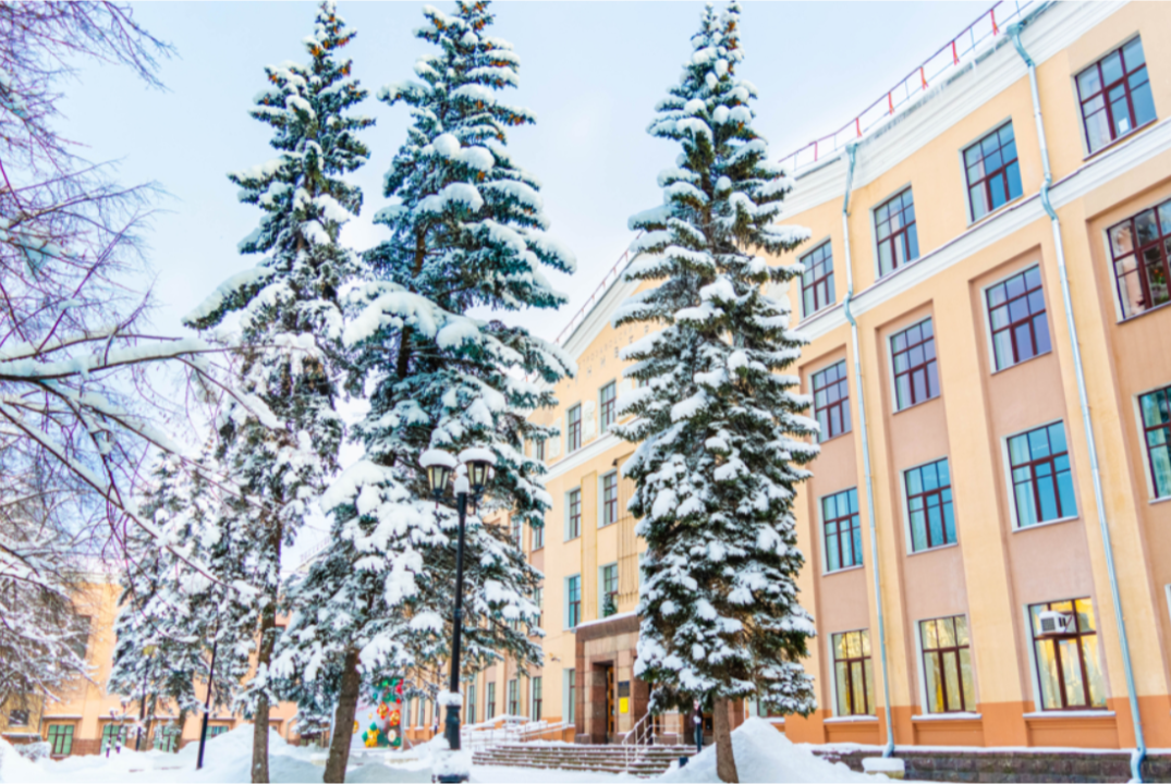 Интенсив "Разработка кроссплатформенных приложений с использованием Flutter на примере российской мобильной ОС Аврора"