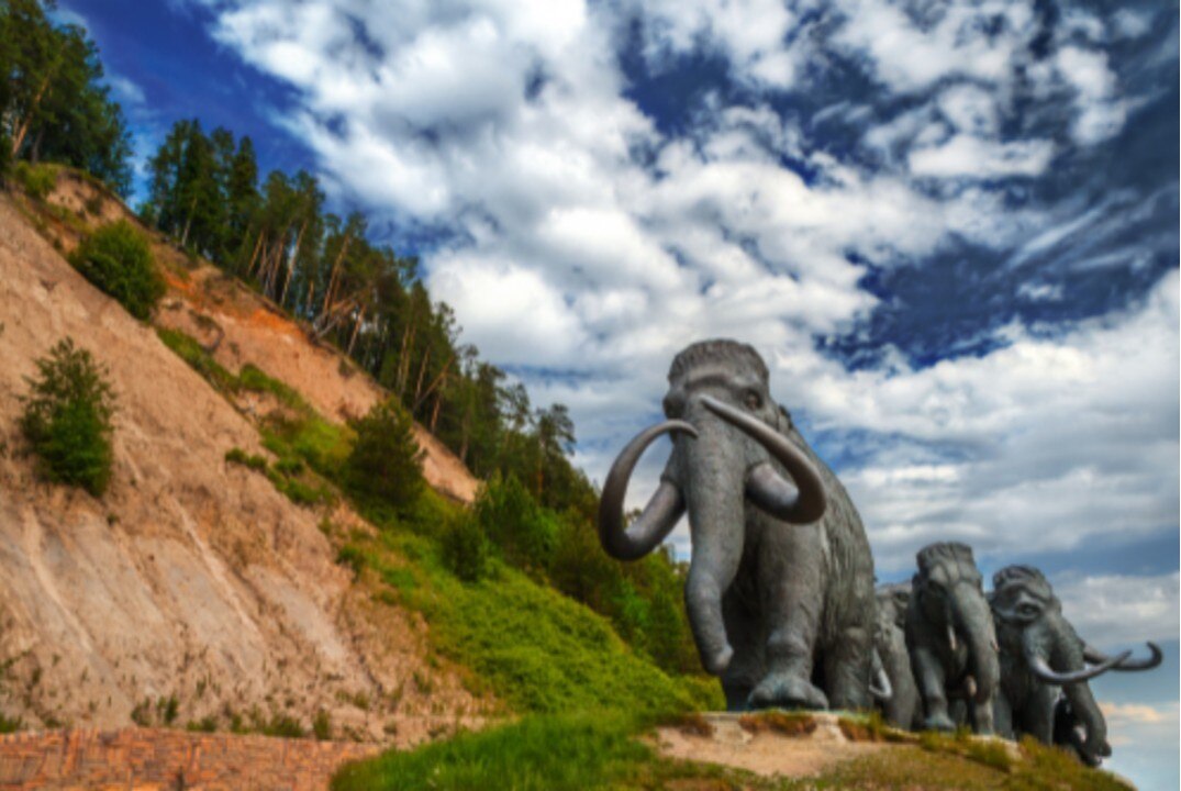 Логистика для экспортёров