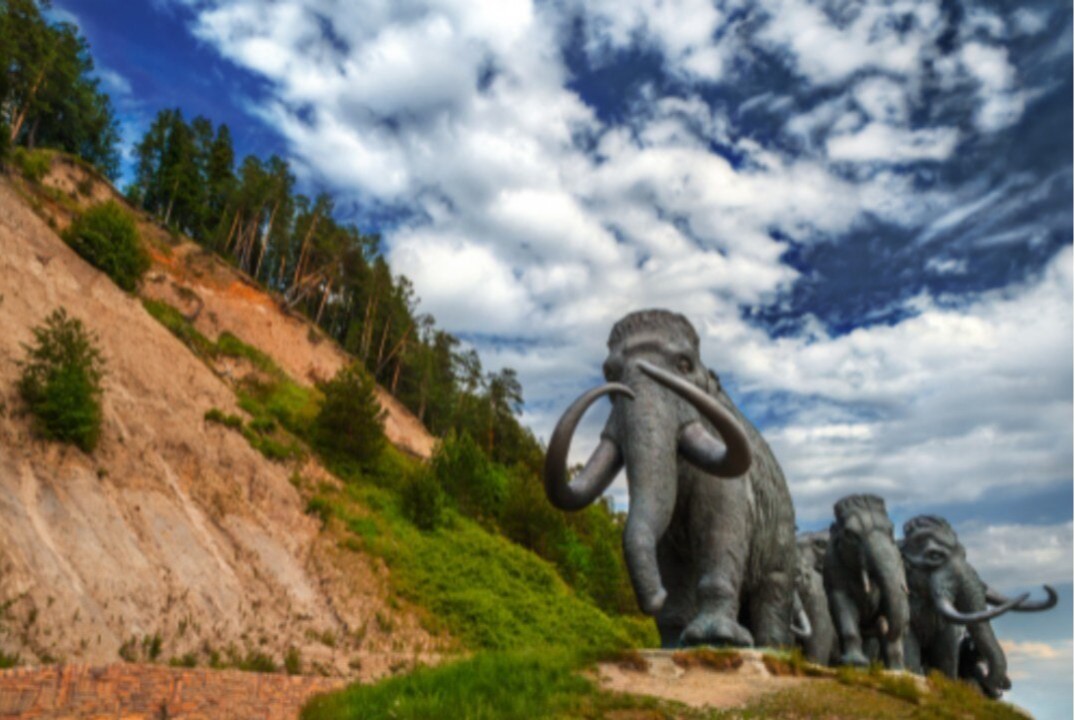 Семинар "Возможности онлайн экспорта"