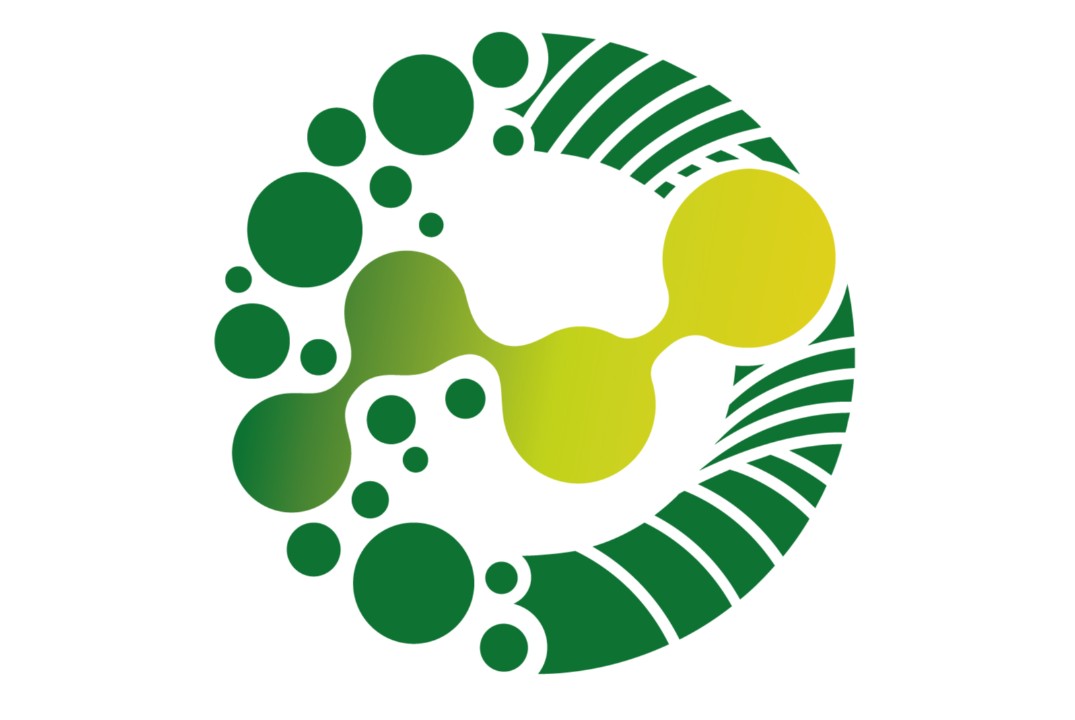 Дизайн-спринт для командообразования и генерации идей ста...