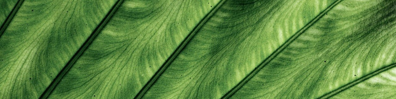 Обложка профиля