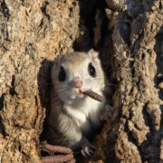 Герасимович Инна Владимировна Герасимович Инна Владимировна