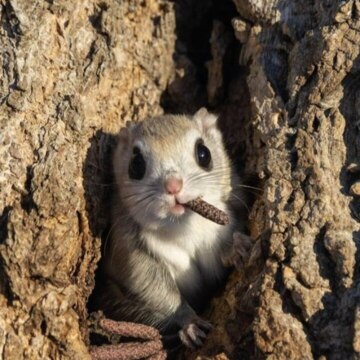 Инна Владимировна Герасимович