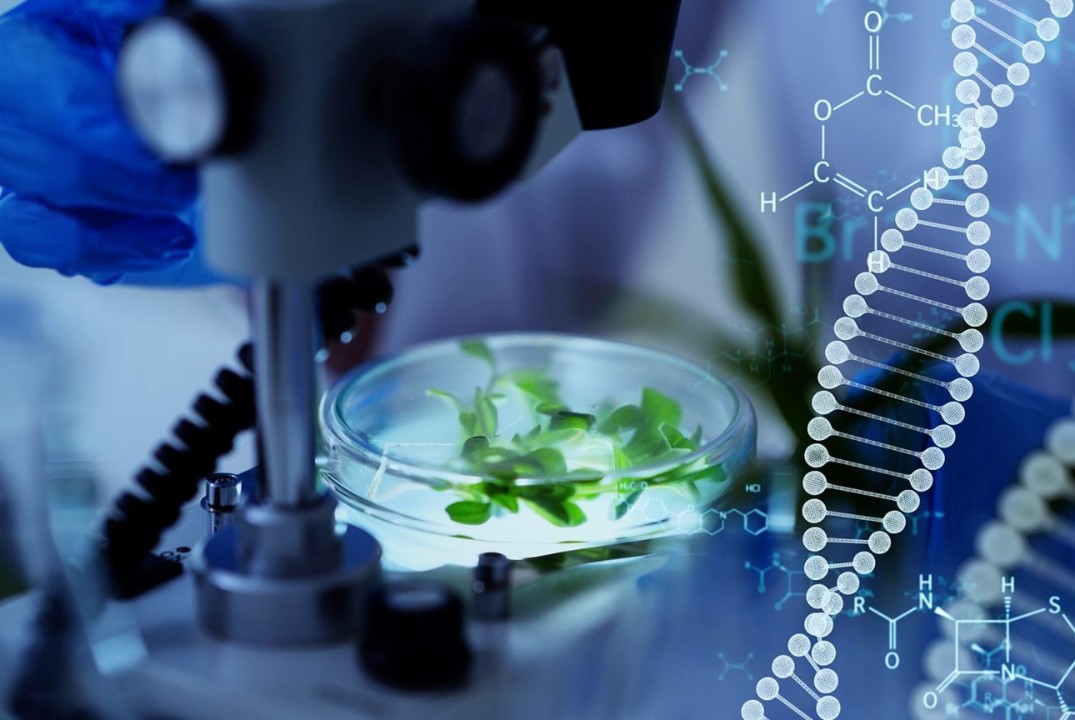 "Биотехнологическая инженерия завтрашнего дня"