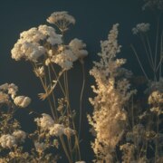 Коригова Милена Тембулатовна