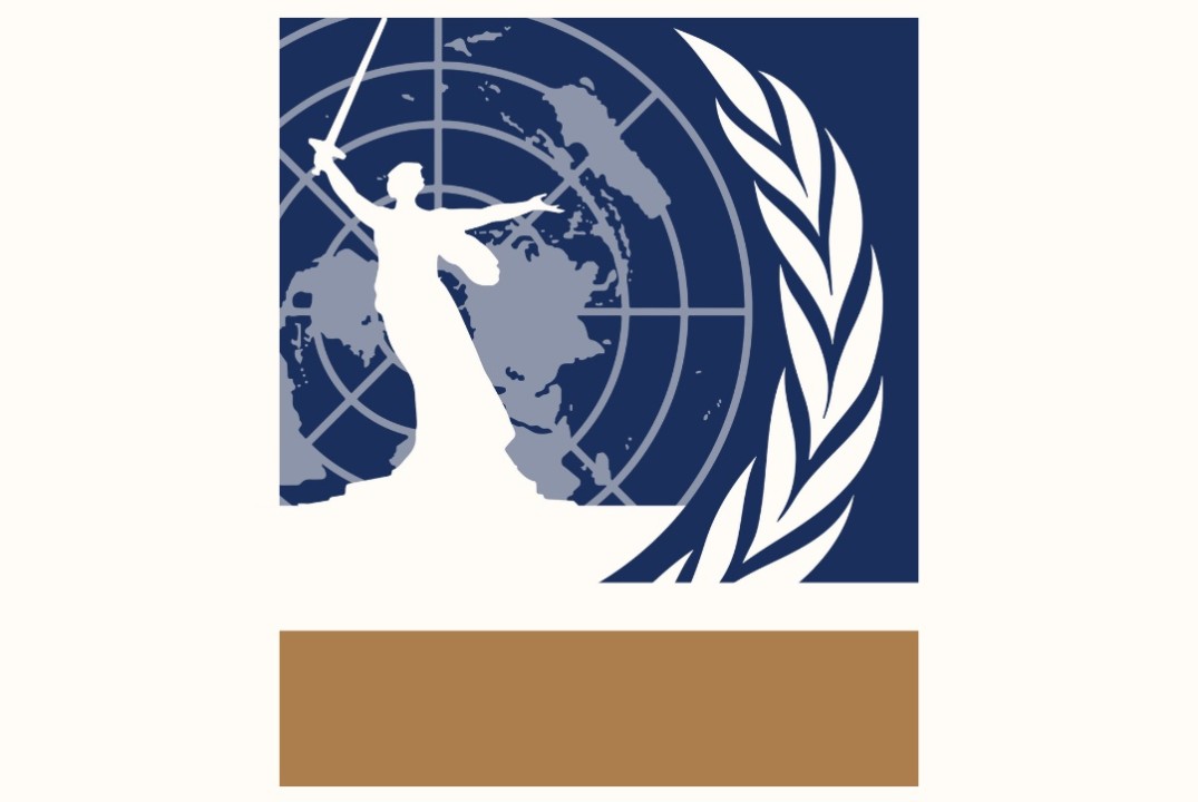 XIV Волгоградская международная модель ООН 2024