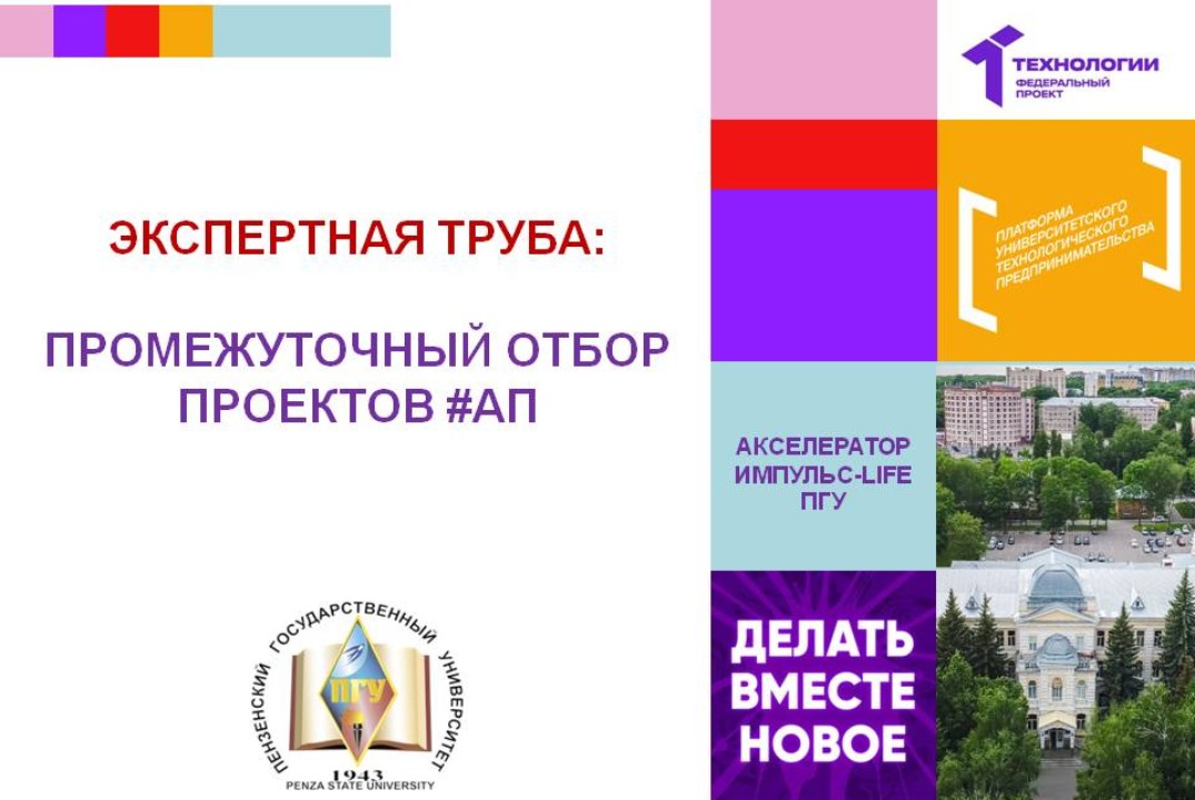 Экспертная труба: промежуточный отбор проектов #АП