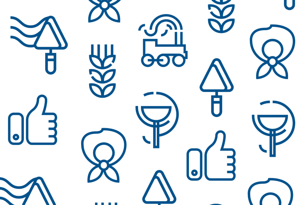 Отчётная конференция СПО ХРО МООО "РСО"