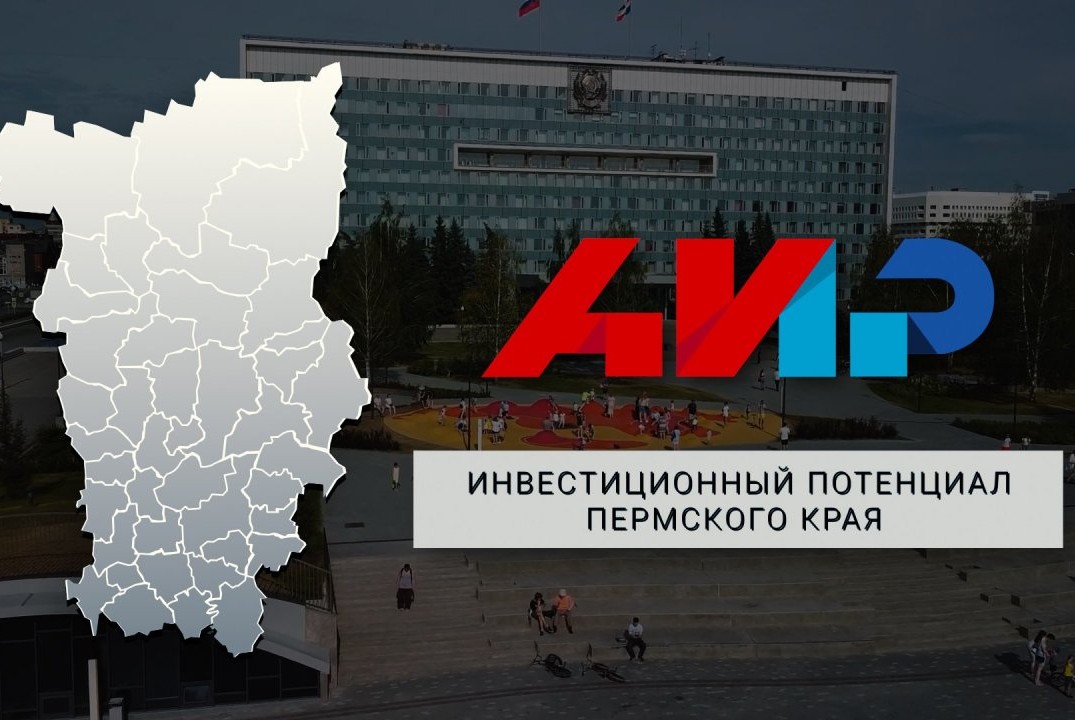 Рабочая встреча в рамках внедрения РИС: Агентство инвести...