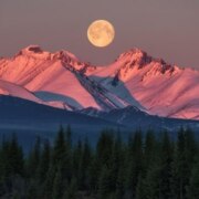 Винокурова Анастасия Васильевна