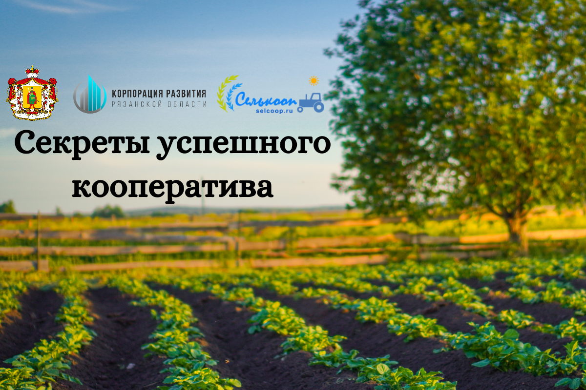 Секреты успешного кооператива