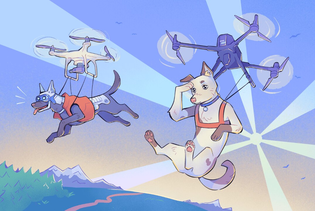 Тестовое мероприятие Сетевое№1