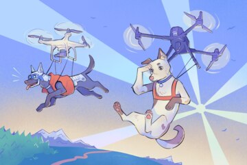 Тестовое мероприятие Сетевое№1