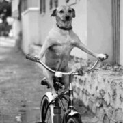 Филимоненкова Анна Андреевна