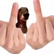 Аверьянова Анастасия Максимовна