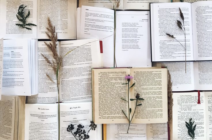 Творческий литературный вечер. Поэзия А.А. Фета, Н.А. Некрасова.