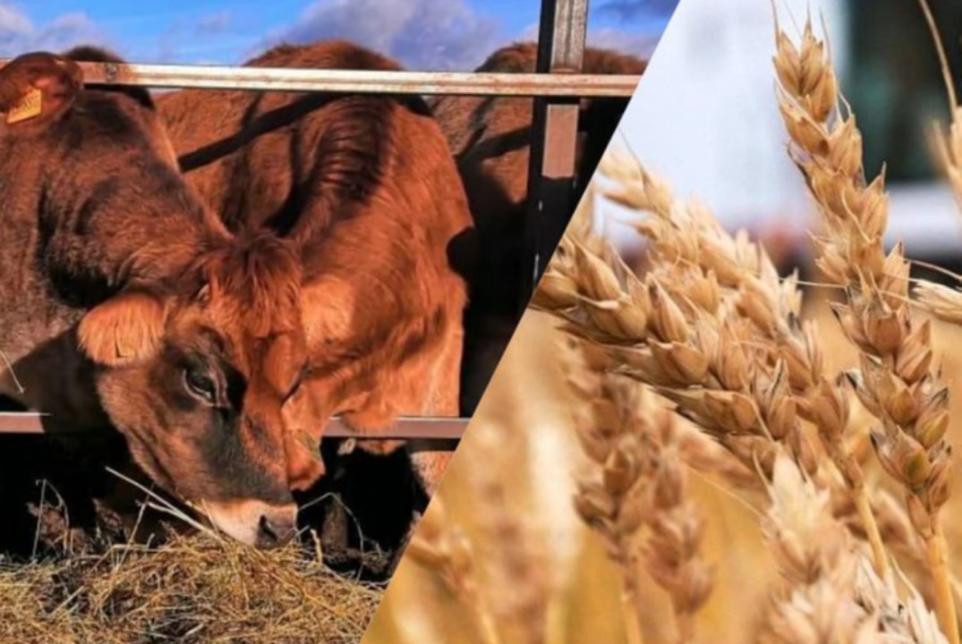 Меры Государственной поддержки сельхозтоваропроизводителе...