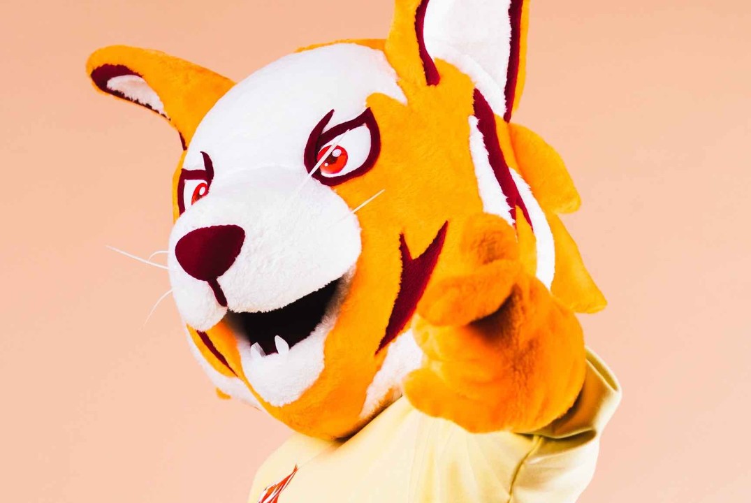 Тренинг менеджеров сборных команд СЗИУ РАНХиГС