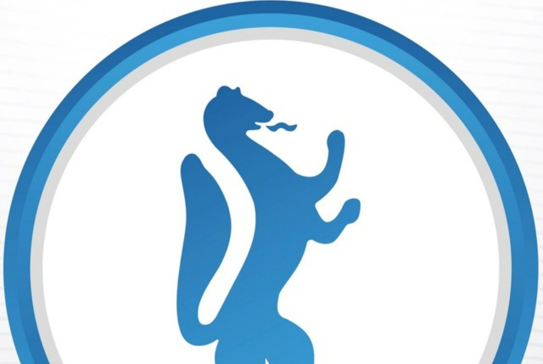 Проектная сессия для команды Молодежного правительства Новосибирской области