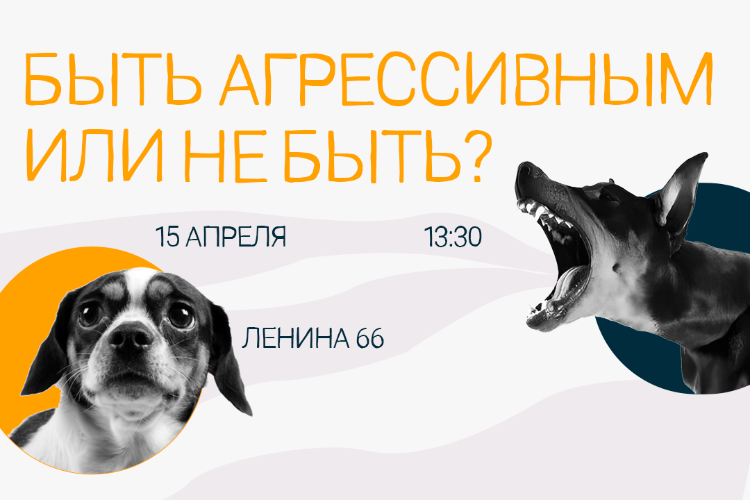 Мастер-класс "Быть агрессивным или не быть"