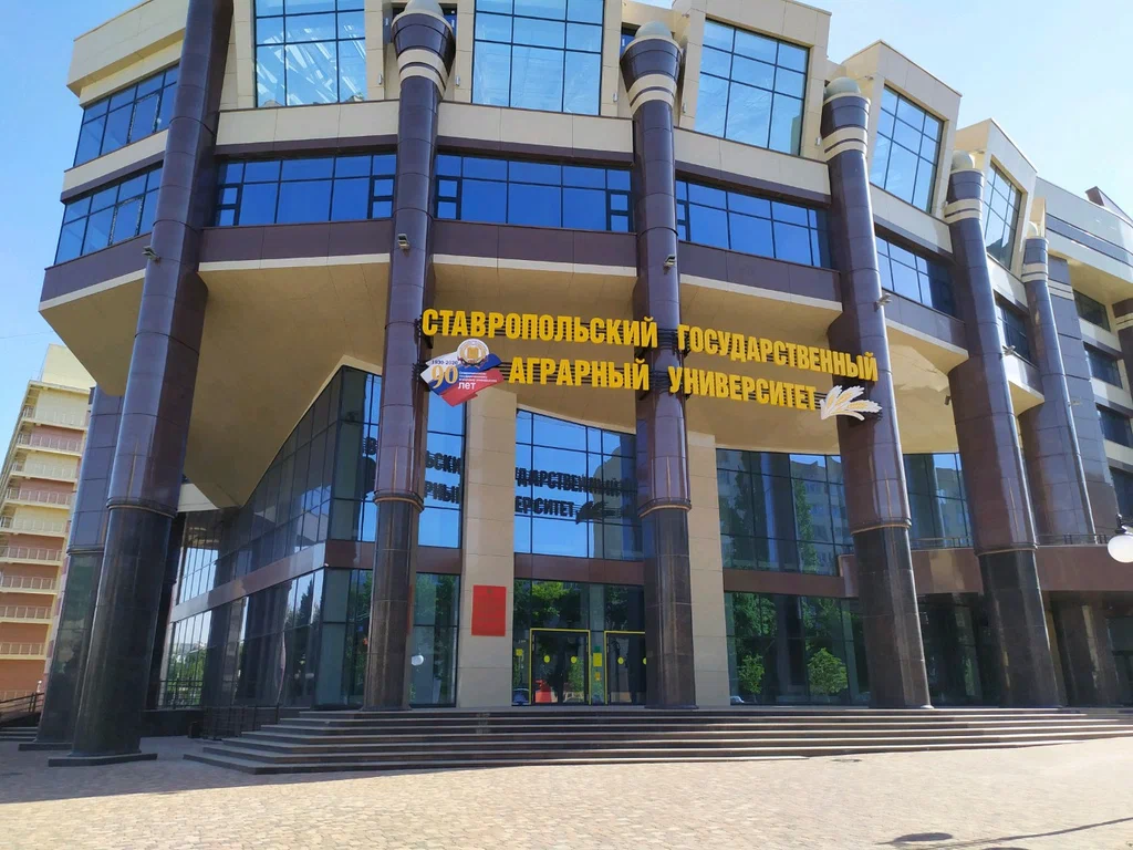 «Культура как субстанция  в процессе реформирования и мод...