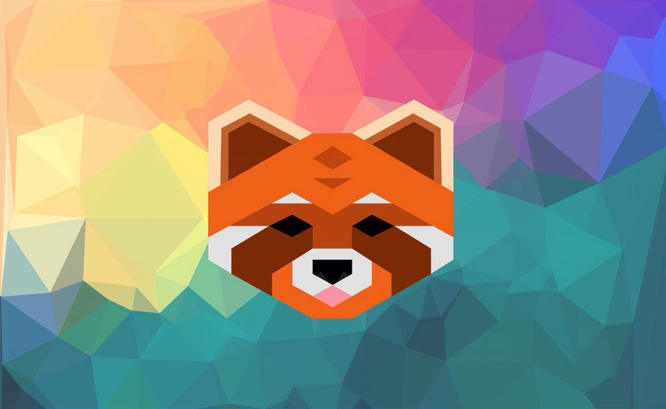 Школа Пресс-центра ЛСО «Рыжий Ап»