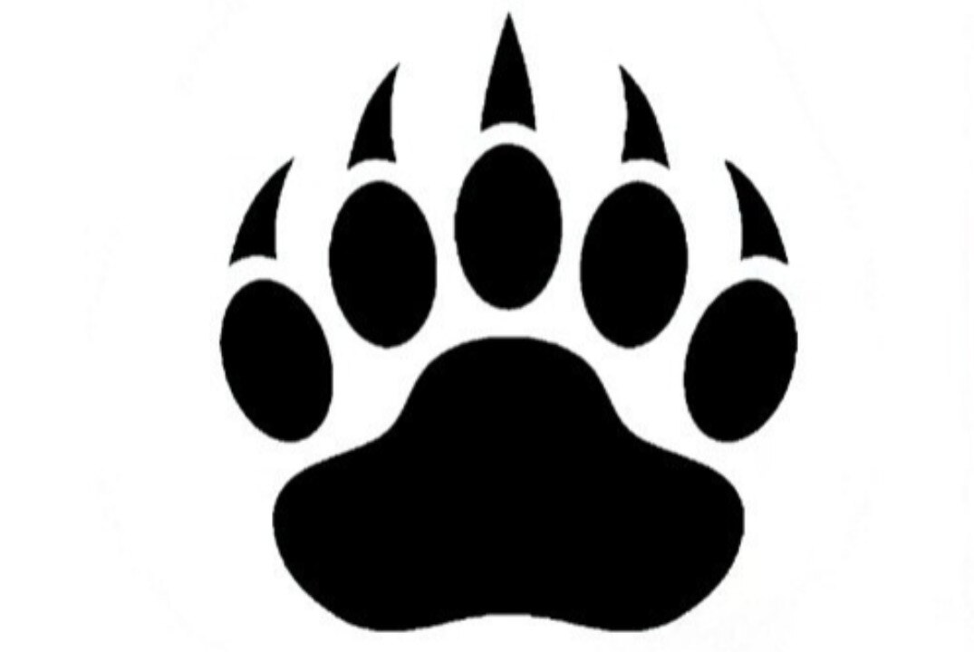 Заседание Молодёжного общественного совета при управлении по молодёжной политике мэрии г. Ярославля