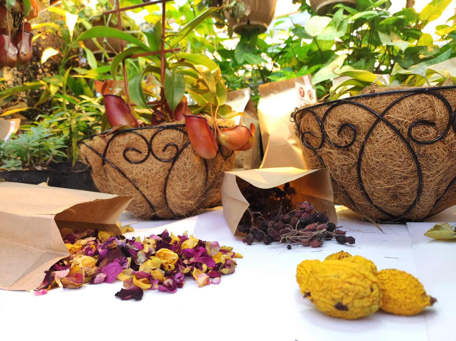 День Фитокосметики: погружение в профессию