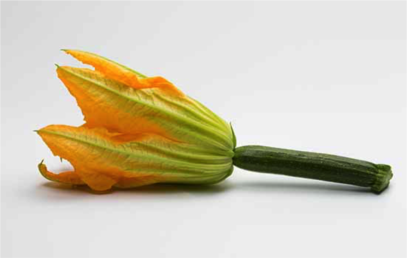 Съедобные цветы: миф или реальность