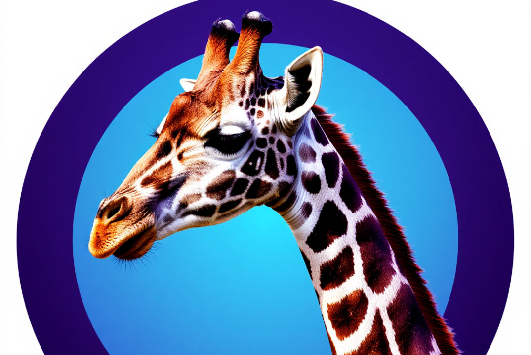 Итоговое анкетирование участников акселерационной программы 12.25