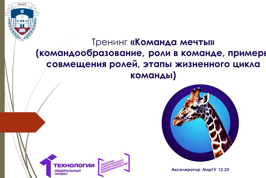 Тренинг «Команда мечты» (командообразование, роли, примеры совмещения ролей, этапы жизненного цикла команды) 12.25