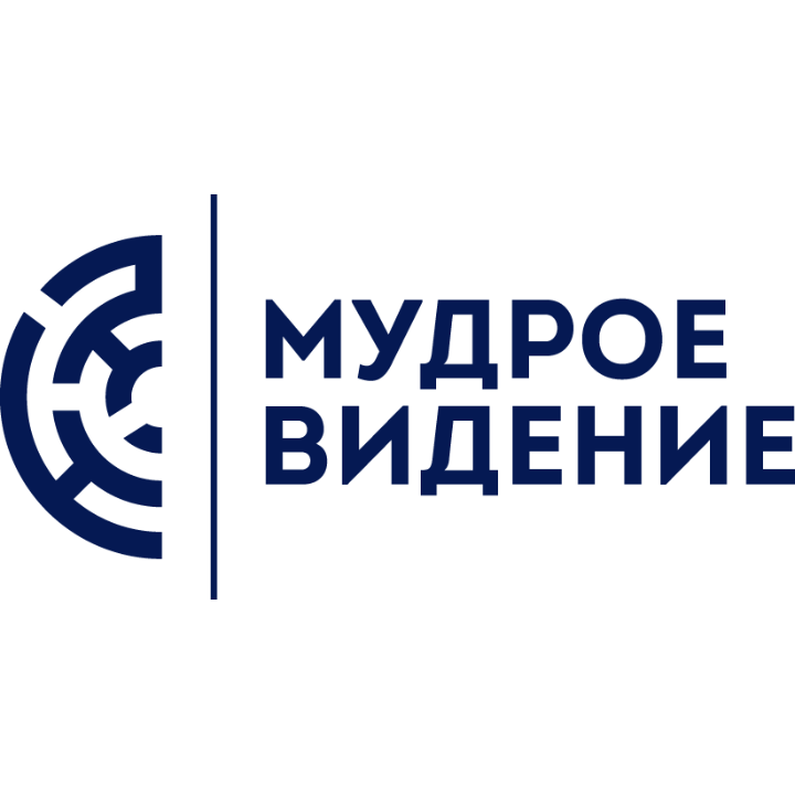 Мудрое видение