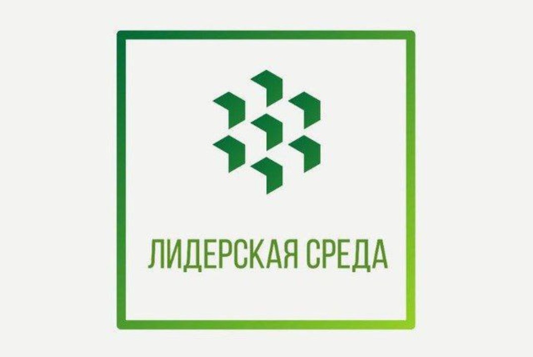 Лидерская Среда. Лекторий. Партнерство с государством. Ст...